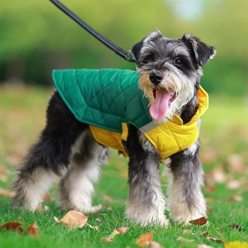 Dog Quilted Jacket